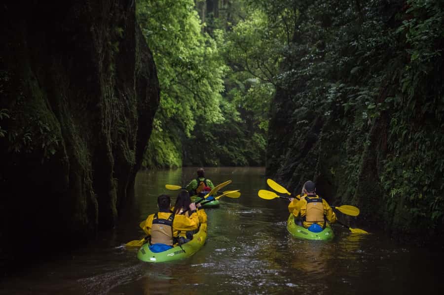 Lake Karapiro: Evening Kayak Glowworm Tour - Glowworms under a completely dark sky