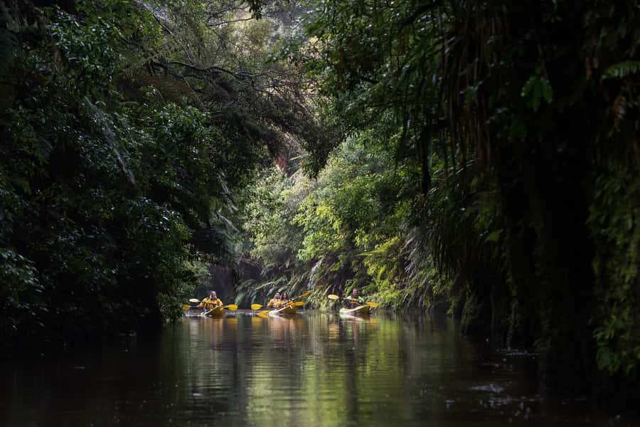 Lake Karapiro: Evening Kayak Glowworm Tour - The dark paddle back to Riverside Adventures Base