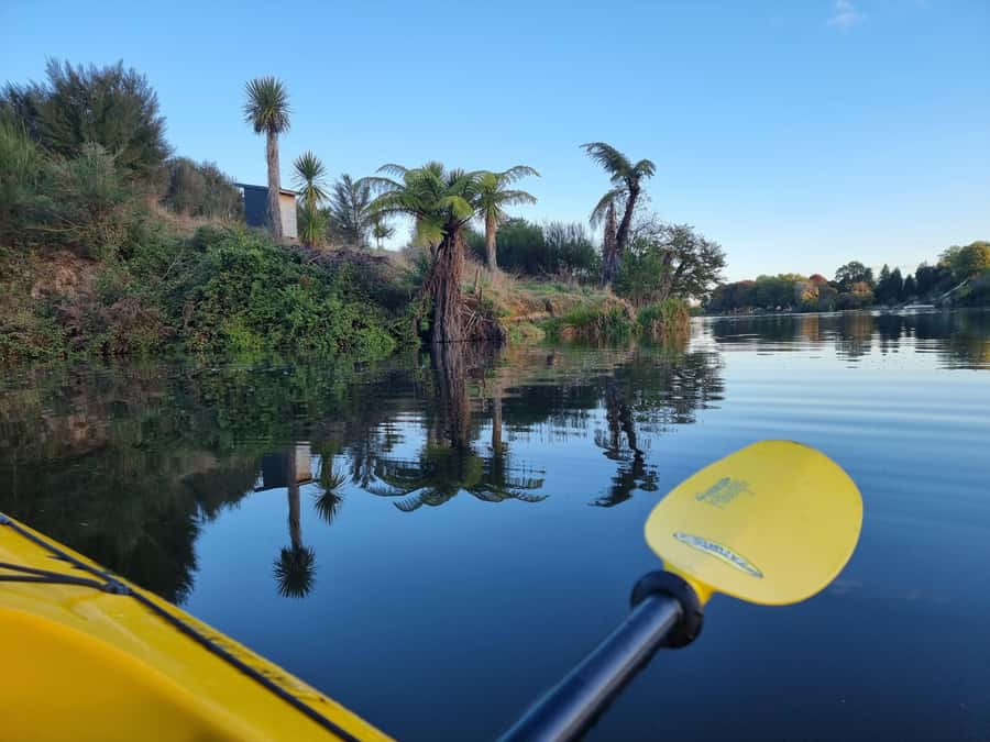 Lake Karapiro: Evening Kayak Glowworm Tour - Is the $89 price good value?