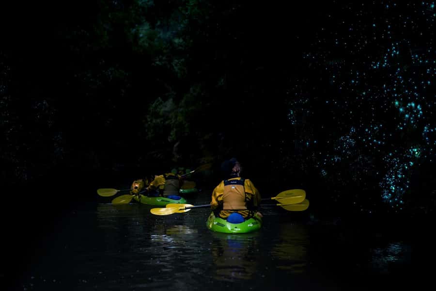 Lake Karapiro: Evening Kayak Glowworm Tour - Who will enjoy this evening kayak tour?