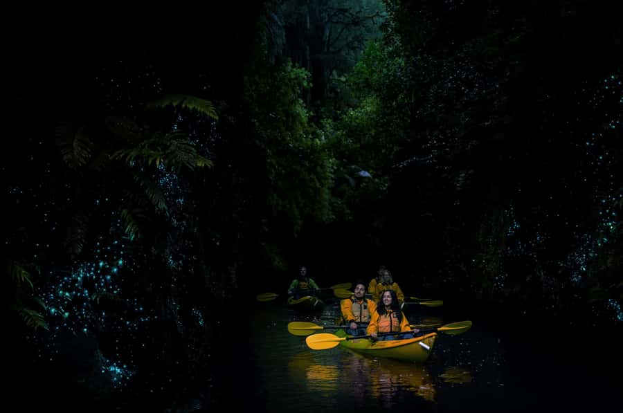 Lake Karapiro: Evening Kayak Glowworm Tour - Practical clothing and comfort advice