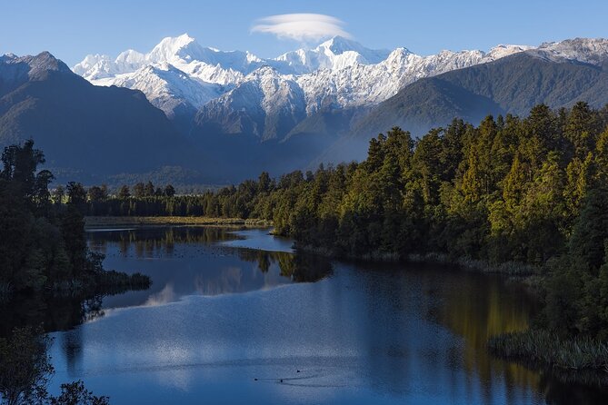 Lake Matheson Nature Tour - Plants, birds, insects, and the lake ecosystem