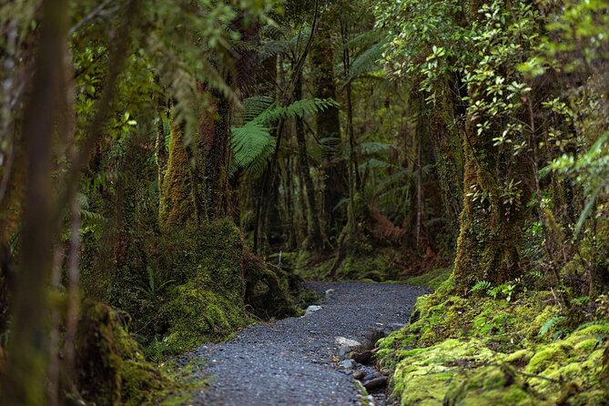 Lake Matheson Nature Tour - What is included for NZ$68.26