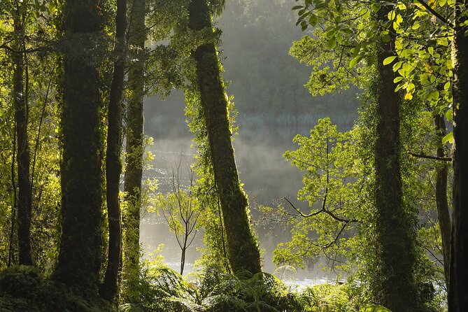 Lake Matheson Nature Tour - Weather, clothing, and practical comfort