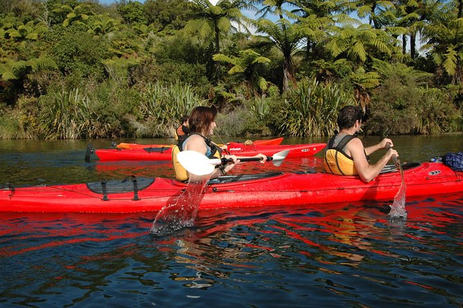 Lake Rotoiti Evening Kayak Tour including Hot Springs, Glowworm Caves and BBQ Dinner - Glowworm and koura caves by boat
