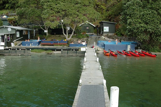 Lake Rotoiti Evening Kayak Tour including Hot Springs, Glowworm Caves and BBQ Dinner - Who will enjoy this Lake Rotoiti tour