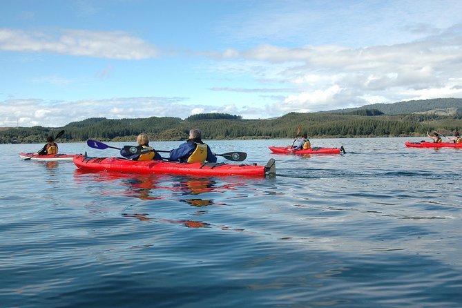 Lake Rotoiti Guided Hot Pools Kayak Trip - Is NZ$104.88 a Fair Price?