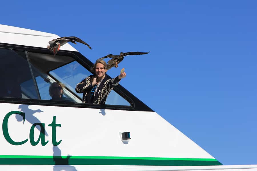 Lake Taupo: 1.5-Hour Maori Rock Carvings 5:00 PM Cruise - Commentary, refreshments, and the trip back