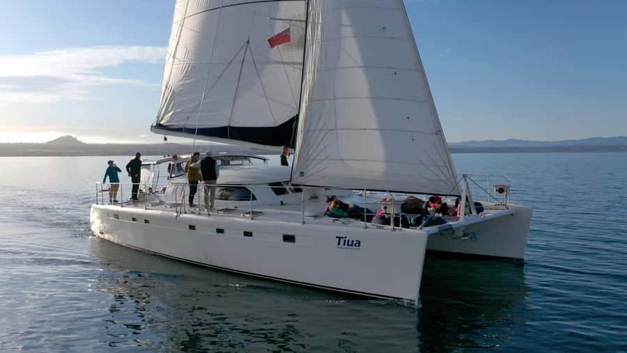 Lake Taupo: Luxury Sailing Catamaran to Māori Rock Carvings - Reaching the Māori Rock Carvings