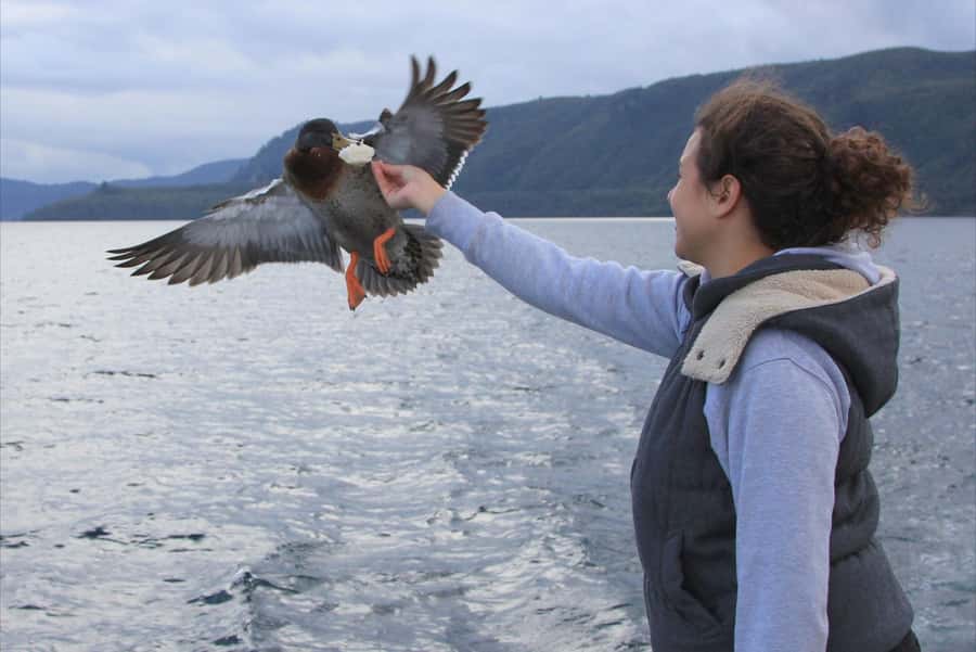 Lake Taupo: Maori Rock Carvings 10.30 AM 1.5-Hour Cruise - Warm muffins and a practical comfort break