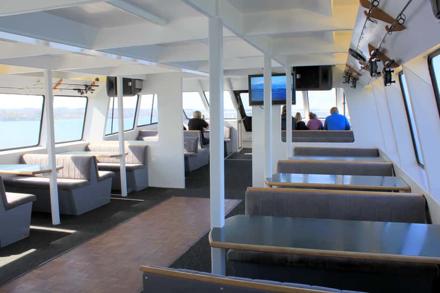 Lake Taupo: Maori Rock Carvings 8.30 AM 1.5-Hour Cruise - Should you book the Lake Taupo carving cruise?