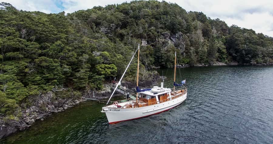 Lake Te Anau: 3-Hour Boat Cruise with Guided Walk - Who will enjoy this cruise most?