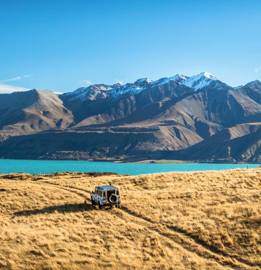 Lake Tekapo: Glaciers, Mountains, and Landscapes Scenic Tour - Who should book this three-hour outing?
