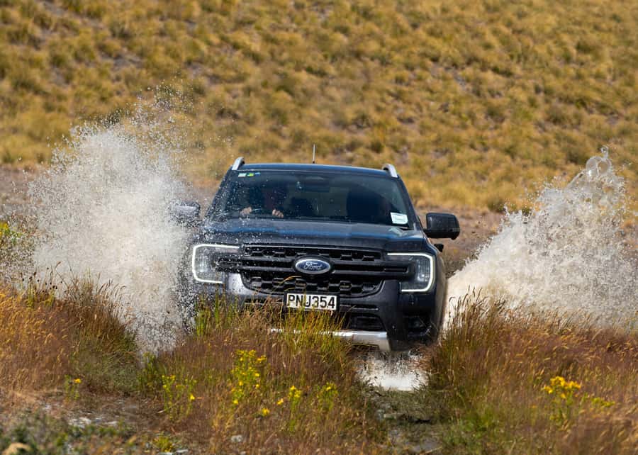 Lake Tekapo Guided 4WD Tours (Small Group, Carbon Positive) - Tarns, birds, and the animals of the station