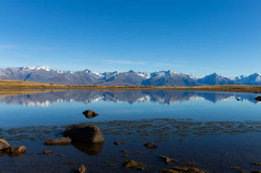 Lake Tekapo High Country Farm Tour (Carbon Positive) - Honey, spring water, and local touches