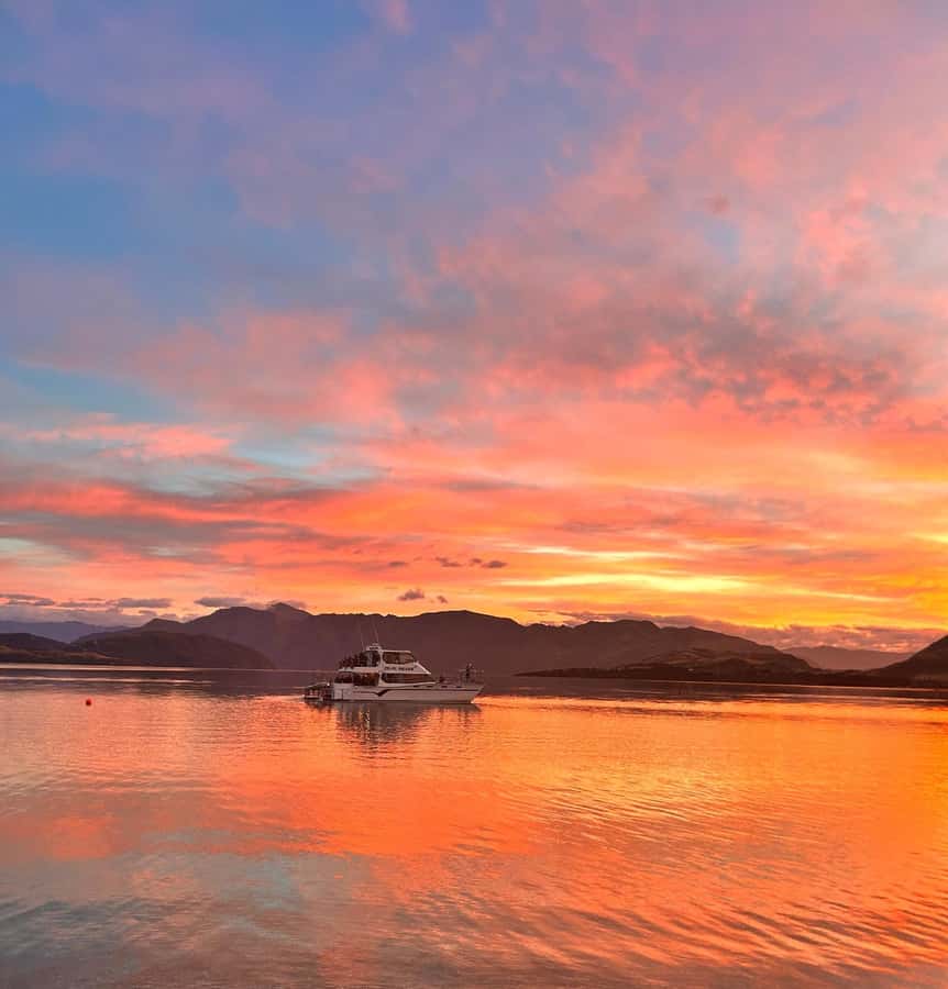 Lake Wanaka Happy Hour Cruise - Practical details that make the difference