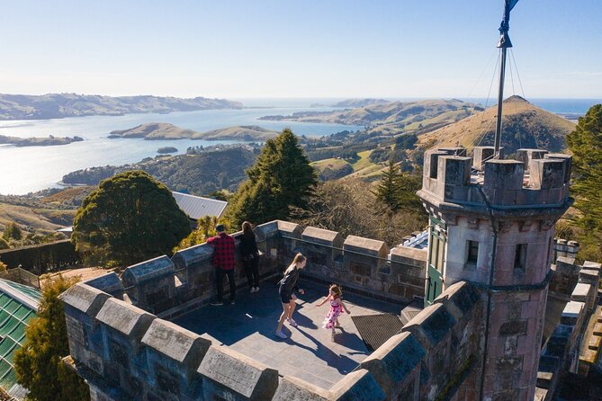 Larnach Castle & Otago Wildlife Cruise from Dunedin - Key points to know before booking