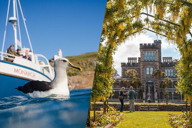 Larnach Castle & Otago Wildlife Cruise from Dunedin - Why this Dunedin combination works so well