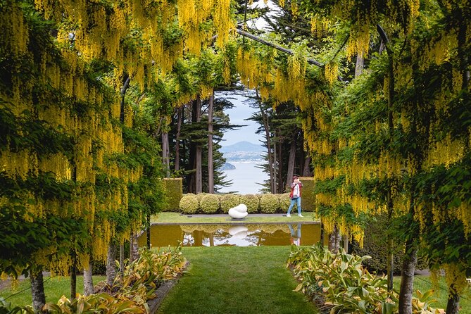 Larnach Castle & Otago Wildlife Cruise from Dunedin - Taiaroa Head and the royal albatross colony