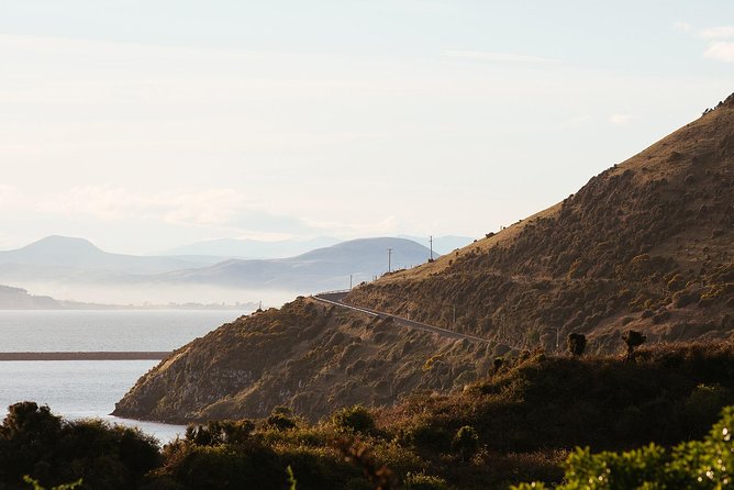 Larnach Castle & Otago Wildlife Cruise from Dunedin - Who should book this experience?