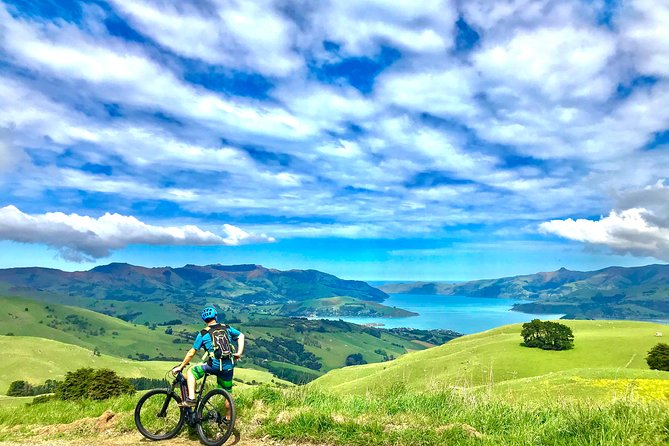 Lava Loop- Guided electric mountain bike tour in Akaroa - Why Akaroa Works So Well on Two Wheels