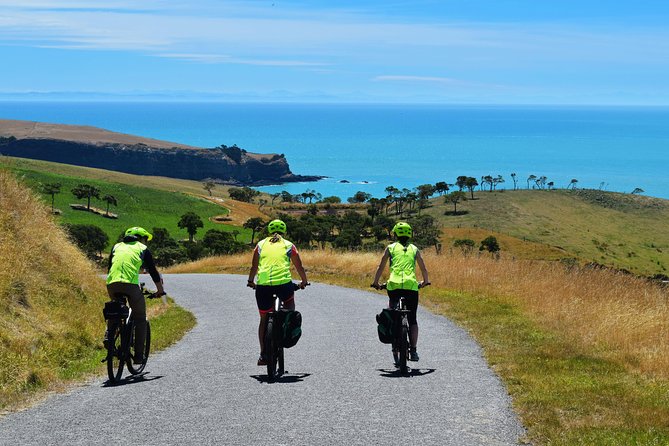 Lava Loop- Guided electric mountain bike tour in Akaroa - The Views Versus the Physical Work