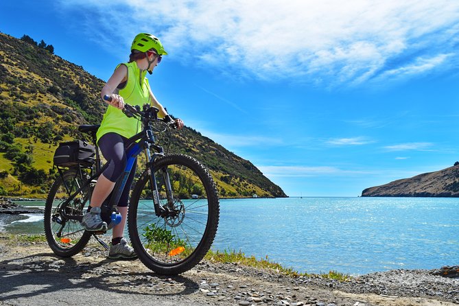 Lava Loop- Guided electric mountain bike tour in Akaroa - Is $192 Good Value?