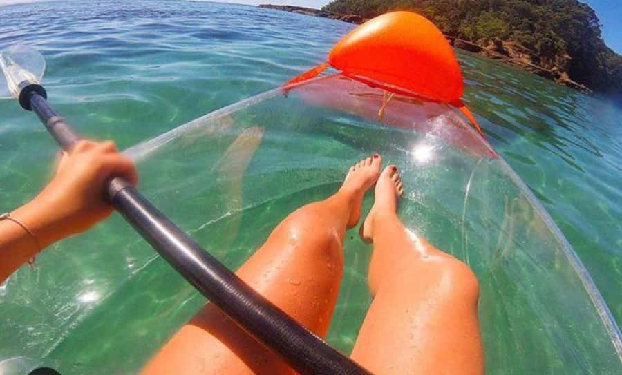Leigh: Goat Island Clear Kayak Rental - Why Goat Island makes a good setting for a clear kayak