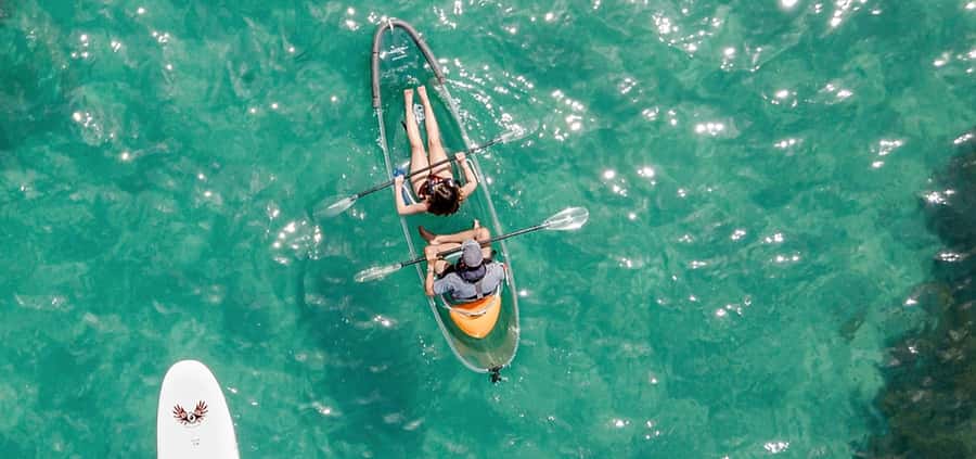 Leigh: Goat Island Clear Kayak Rental - The 60-minute paddle through the reserve