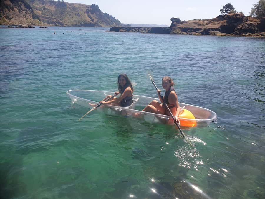Leigh: Goat Island Clear Kayak Rental - What you might see below and beside the boat