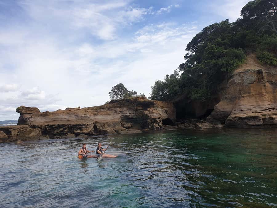 Leigh: Goat Island Clear Kayak Rental - Safety rules that affect your booking