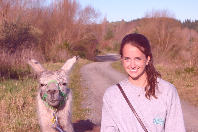 Llama Trek (Taster) - Kowhai River Valley and Native Woodland Tour - Why This Short Llama Walk Feels Different