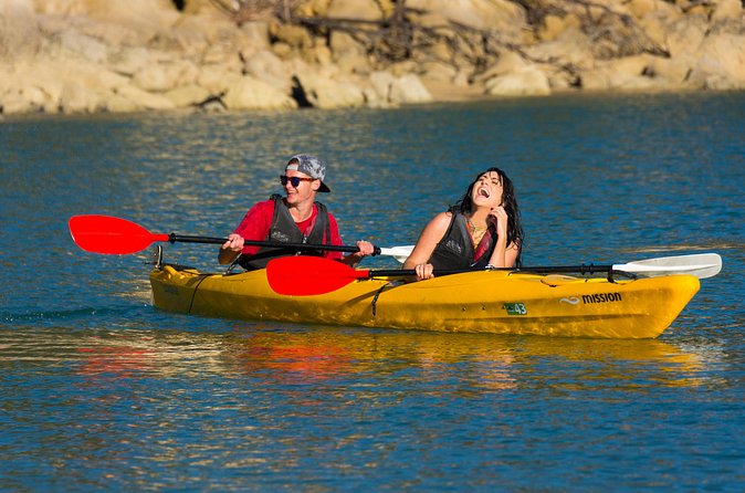 Lock, Stock & 2 Smoking Paddles - Adele Island and New Zealand fur seals