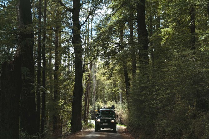Lord of Rings Tour around Queenstown Lakes by 4WD (full day) - Skippers Canyon finishes with rugged 4WD scenery