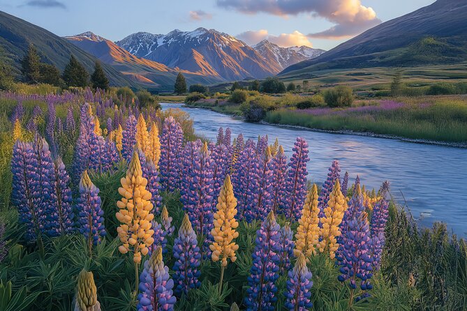 Lord of the Rings Scenic Half Day Tour from Queenstown - Glenorchy Wharf and the famous red shed