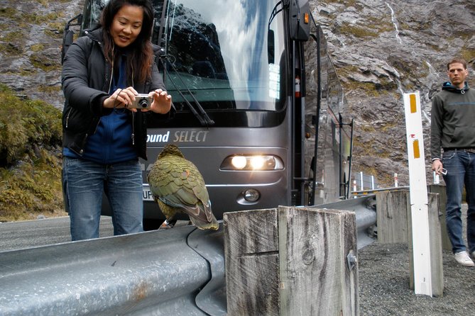 Luxury Milford Sound Coach and Scenic Cruise - Why the long Queenstown to Milford day works