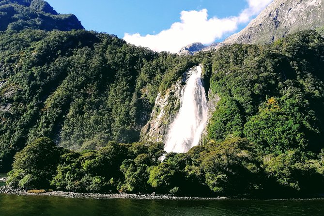 Luxury Milford Sound Coach and Scenic Cruise - Fiordland National Park fills the middle of the day