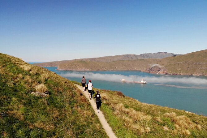 Luxury Private Guided Crater Rim Walk on Banks Peninsula - Why this walk is a strong Christchurch day out