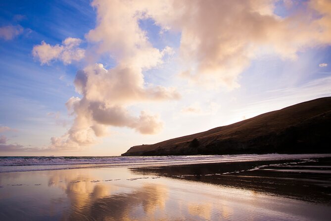 Luxury Private Guided Crater Rim Walk on Banks Peninsula - A private SUV and a guide who can shape the day