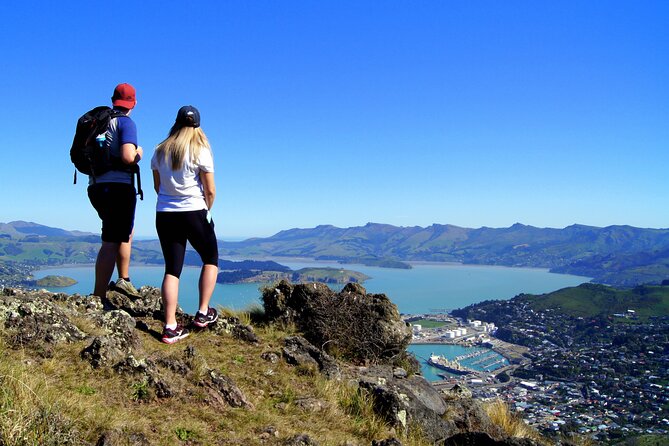 Luxury Private Guided Crater Rim Walk on Banks Peninsula - What the €301.04 price really covers