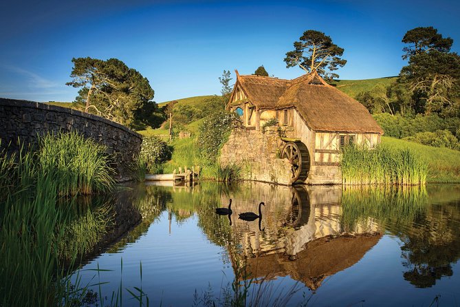 Luxury Private Transfers: Auckland Airport to City - Comfort, Luggage, and Included Extras