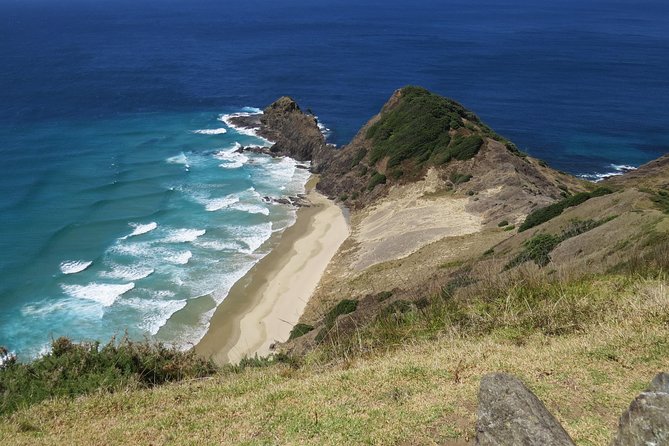 Luxury Private Transfers: Auckland Airport to City - Who Should Book This Transfer?