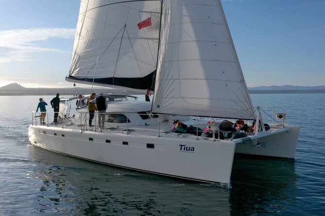 Luxury Sailing - Māori Rock Carvings - Taupo Sailing Adventures - The swim stop in Lake Taupō