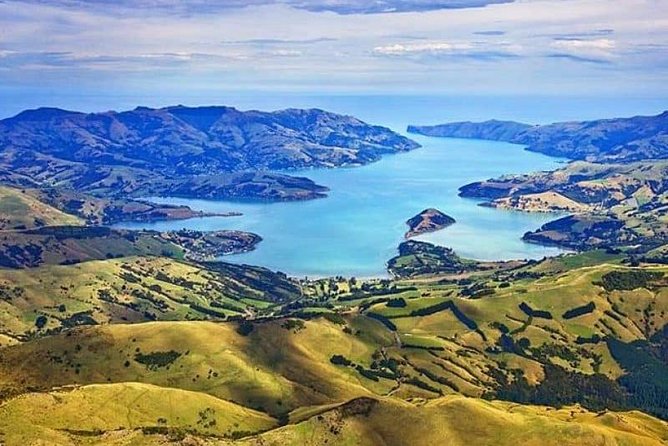 Lyttelton Cruise Excursions: Christchurch Sightseeing with Sheep Farm - Tea with the farmers and home baking