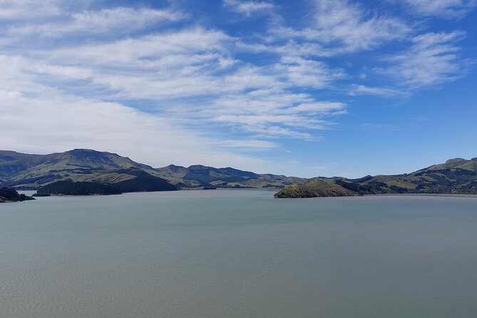 Lyttelton Shore Excursion: Christchurch Sightseeing with Antarctic Center - Commentary can make or break the day