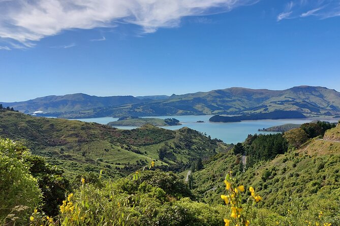 Lyttelton Shore Excursion: Christchurch Sightseeing with Jet Boating - The Port Hills view at the Sign of the Takahe