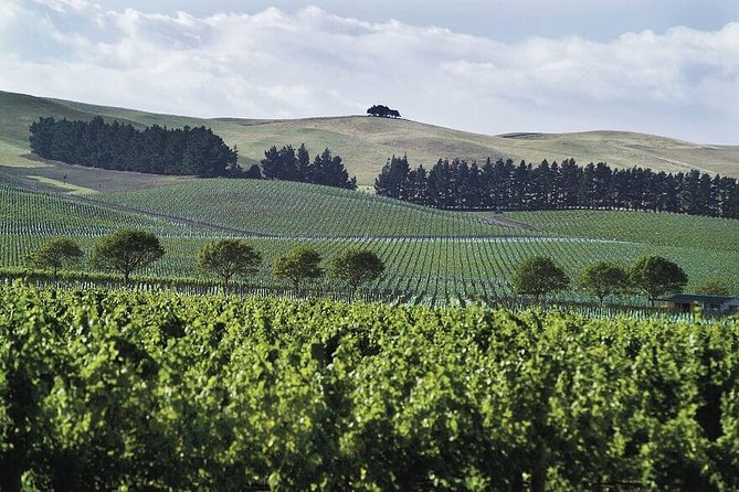 Lyttelton Shore Excursion: Christchurch & Willowbank Tour - Timing, comfort, and the shore-excursion guarantee