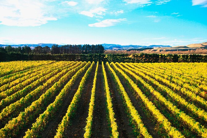 Lyttelton Shore Excursion - City Highlights & Waipara Wine Tour - Key points at a glance