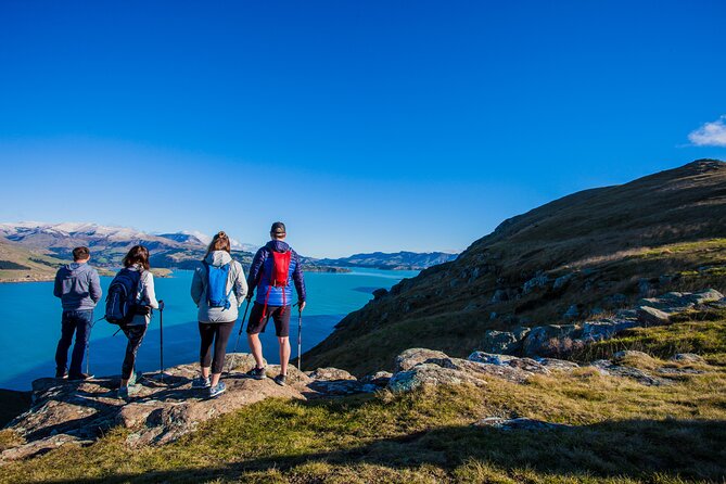 Lyttelton Shore Excursion - Guided Walking Tour and Picnic - From Lyttelton Port to Sumner Beach