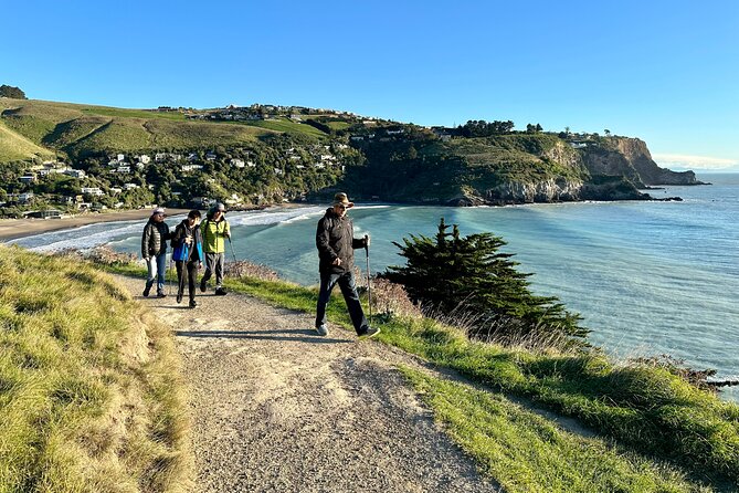 Lyttelton Shore Excursion - Guided Walking Tour and Picnic - Three Hours Around Godley Head